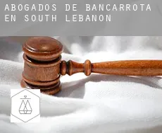 Abogados de bancarrota en  South Lebanon