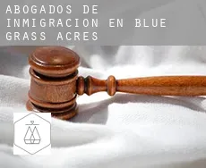 Abogados de inmigración en Blue Grass Acres