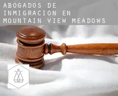 Abogados de inmigración en  Mountain View Meadows
