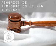 Abogados de inmigración en  New Tredegar