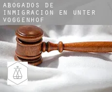 Abogados de inmigración en Unter-Voggenhof