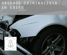 Abogado criminalista en  Ebern