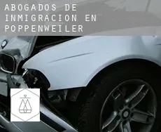Abogados de inmigración en Poppenweiler