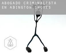 Abogado criminalista en  Abington Shores