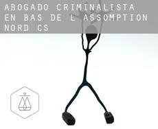 Abogado criminalista en  Bas-de-L'Assomption-Nord (census area)