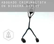 Abogado criminalista en  Biggera Waters