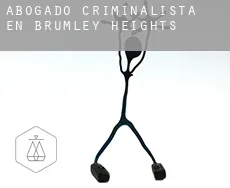 Abogado criminalista en  Brumley Heights