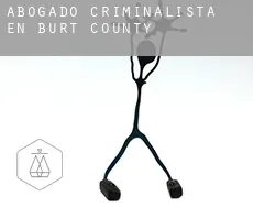 Abogado criminalista en Burt County