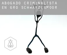 Abogado criminalista en  Groß Schwarzenmoor