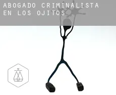 Abogado criminalista en  Los Ojitos