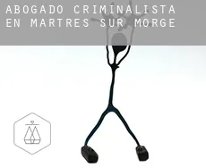 Abogado criminalista en  Martres-sur-Morge