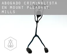 Abogado criminalista en  Mount Pleasant Mills