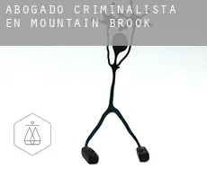 Abogado criminalista en  Mountain Brook