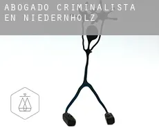 Abogado criminalista en  Niedernholz