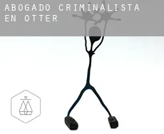 Abogado criminalista en  Otter