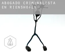 Abogado criminalista en  Rienshofen