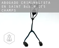 Abogado criminalista en  Saint-Bénin-des-Champs