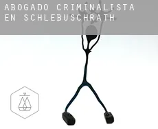 Abogado criminalista en  Schlebuschrath