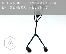 Abogado criminalista en  Seneca Heights