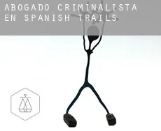 Abogado criminalista en Spanish Trails