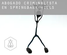 Abogado criminalista en  Springbank Hills