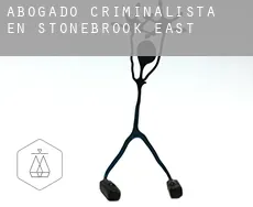 Abogado criminalista en  Stonebrook East
