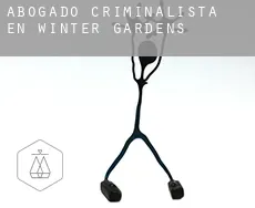 Abogado criminalista en  Winter Gardens