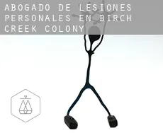 Abogado de lesiones personales en  Birch Creek Colony