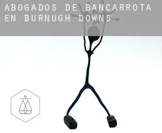 Abogados de bancarrota en  Burnugh Downs