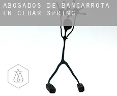 Abogados de bancarrota en  Cedar Spring
