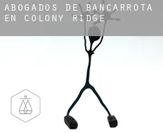 Abogados de bancarrota en  Colony Ridge