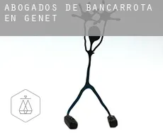 Abogados de bancarrota en Genet