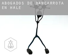 Abogados de bancarrota en  Hale