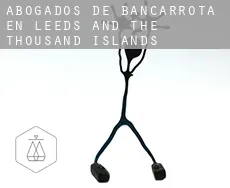 Abogados de bancarrota en  Leeds and the Thousand Islands