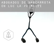 Abogados de bancarrota en  Luc-la-Primaube