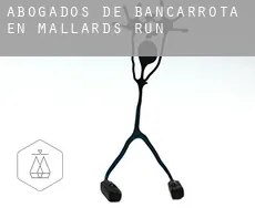 Abogados de bancarrota en  Mallards Run