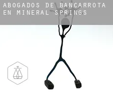 Abogados de bancarrota en  Mineral Springs