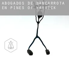 Abogados de bancarrota en  Pines of Warrick