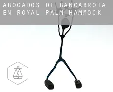Abogados de bancarrota en  Royal Palm Hammock
