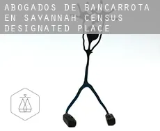 Abogados de bancarrota en  Savannah