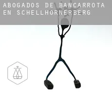 Abogados de bancarrota en  Schellhornerberg