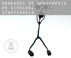Abogados de bancarrota en  Siedlung Schäperwald