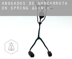 Abogados de bancarrota en Spring Branch