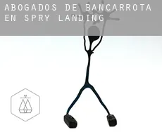 Abogados de bancarrota en  Spry Landing
