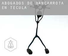 Abogados de bancarrota en Tecula