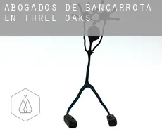 Abogados de bancarrota en  Three Oaks