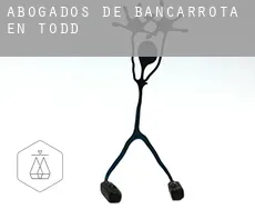 Abogados de bancarrota en Todd