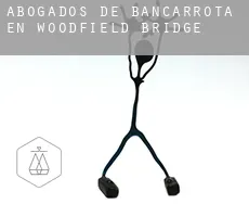 Abogados de bancarrota en Woodfield Bridge