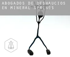 Abogados de deshaucios en  Mineral Springs