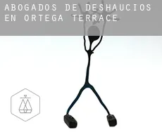 Abogados de deshaucios en  Ortega Terrace